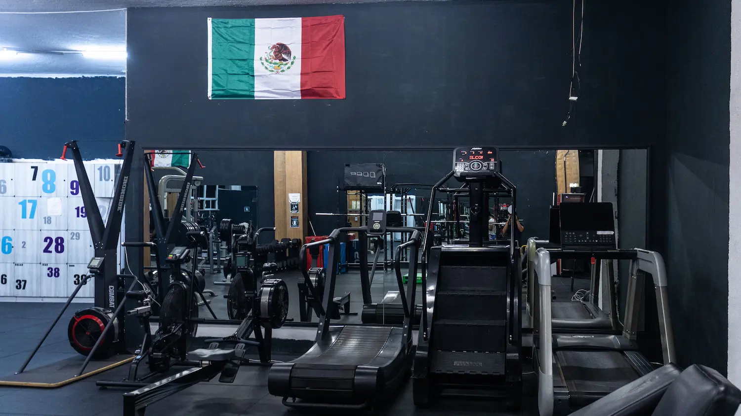 Zona de cardio con caminadora curva, remo, escaladora y SkiErg